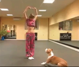 Girl And Dog Amazing Dance,Girl And Dog Amazing Dance HD ,Girl And Dog Amazing Dance Online,Girl And Dog Amazing Dance Free, Girl And Dog Amazing Dance Best,Girl And Dog Amazing Dance Cute,Girl And Dog Amazing Dance Nice,Girl And Dog Amazing Dance Stream,Girl And Dog Amazing Dance Streaming,Girl And Dog Amazing Dance Download,Girl And Dog Amazing Dance Free Download,Girl And Dog Amazing Dance Watch Online ,Watch Girl And Dog Amazing Dance,http://hd-song-pic.blogspot.com/2014/07/girl-and-dog-amazing-dance.html,User-agent: Mediapartners-Google     Disallow:     User-agent: *     Disallow: /search?q=*     Disallow: /*?updated-max=*     Allow: /   Sitemap: http://www.hd-song-pic.blogspot.com/feeds/posts/default?orderby=updated,   Sitemap: http://www.hd-song-pic.blogspot.com/atom.xml?redirect=false&start-index=1&max-results=500,